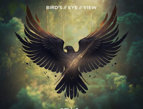 Music News: Matthew Parker & Jacob Stanifer Release “Bird’s Eye View”