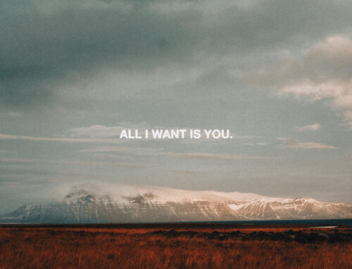 New Music: Jonah Greene & CADO Release New Single “All I Want”